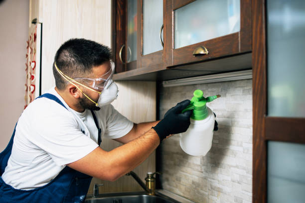 Best Affordable Pest Control Services  in Wauregan, CT