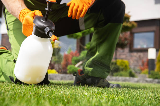 Best Affordable Exterminators  in Wauregan, CT