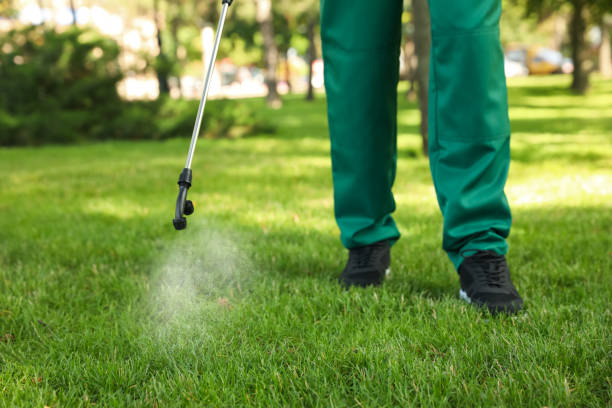 Best Emergency Pest Control  in Wauregan, CT