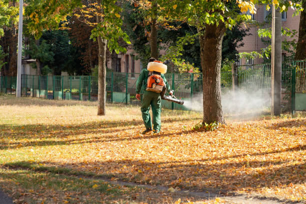 Best Pest Control for Homes  in Wauregan, CT