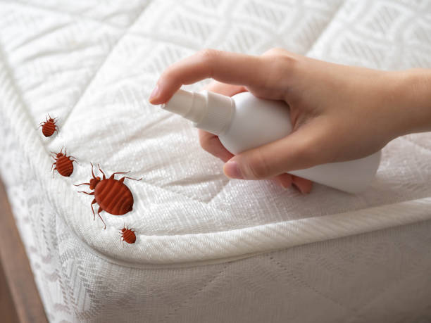 Pest Control Cost in Wauregan, CT