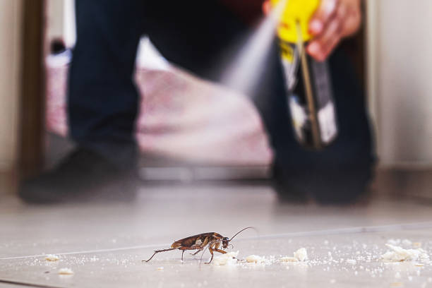 Best Mosquito Control Services  in Wauregan, CT
