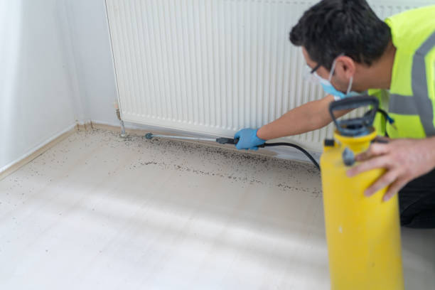 Best Local Pest Control Services  in Wauregan, CT