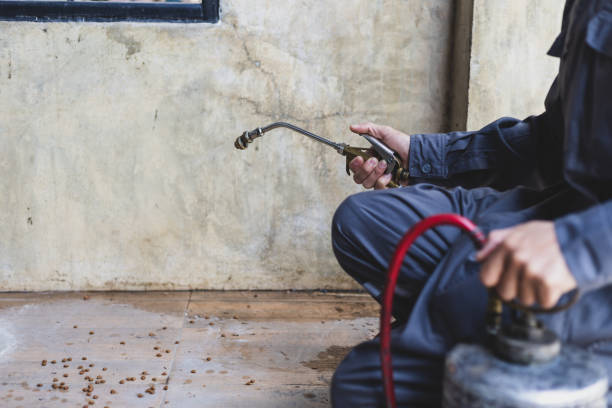 Best Pest Prevention Services  in Wauregan, CT