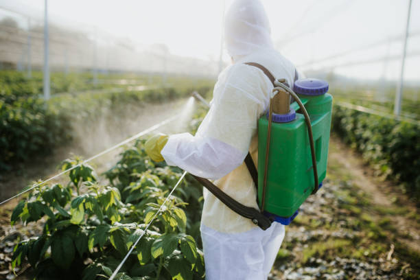 Best Termite Control Services  in Wauregan, CT